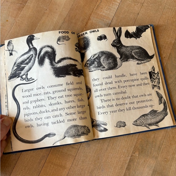 Vintage 60’s Owl Book - Picture 8 of 13